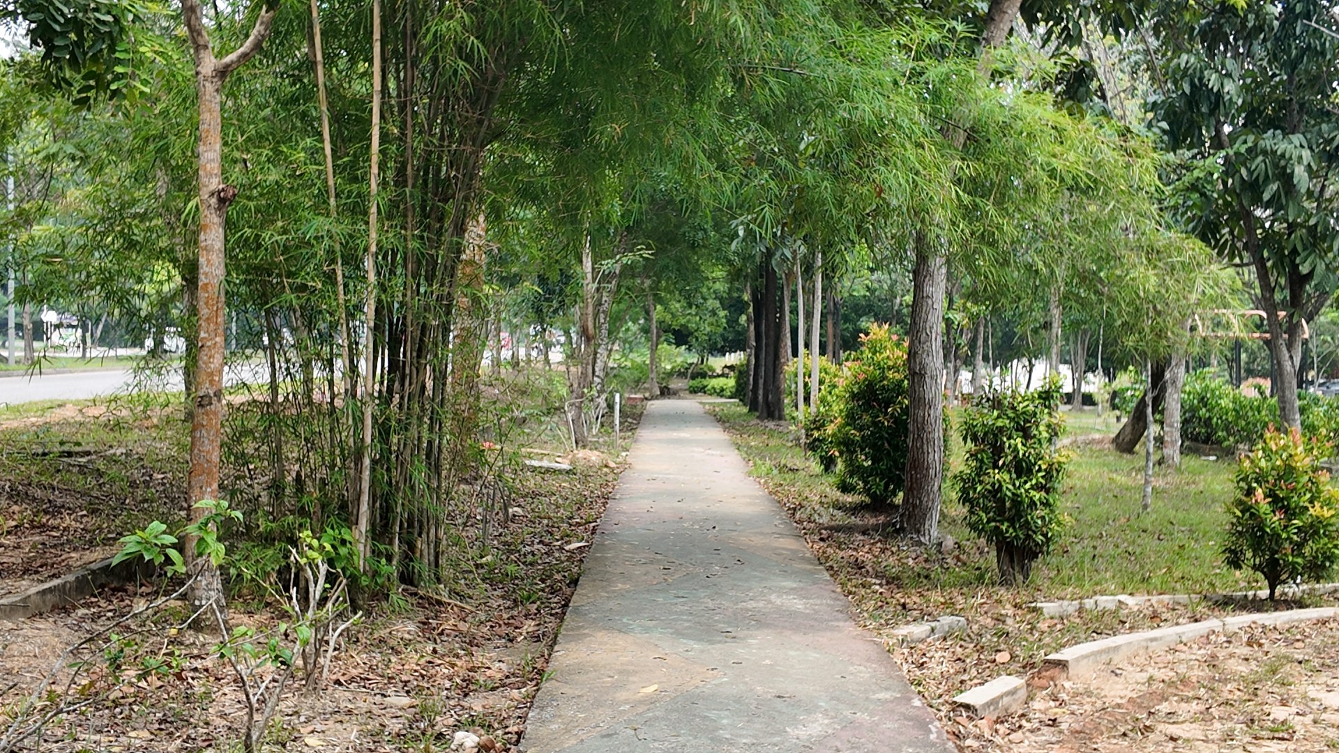 Taman Gajah Mada (Taman Tuan Putri)