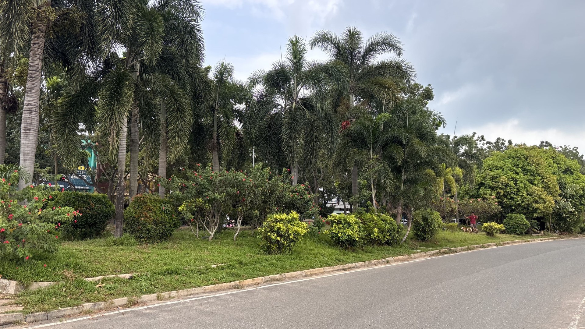Taman Segitiga Depan Pasar Induk Jodoh — foto 3