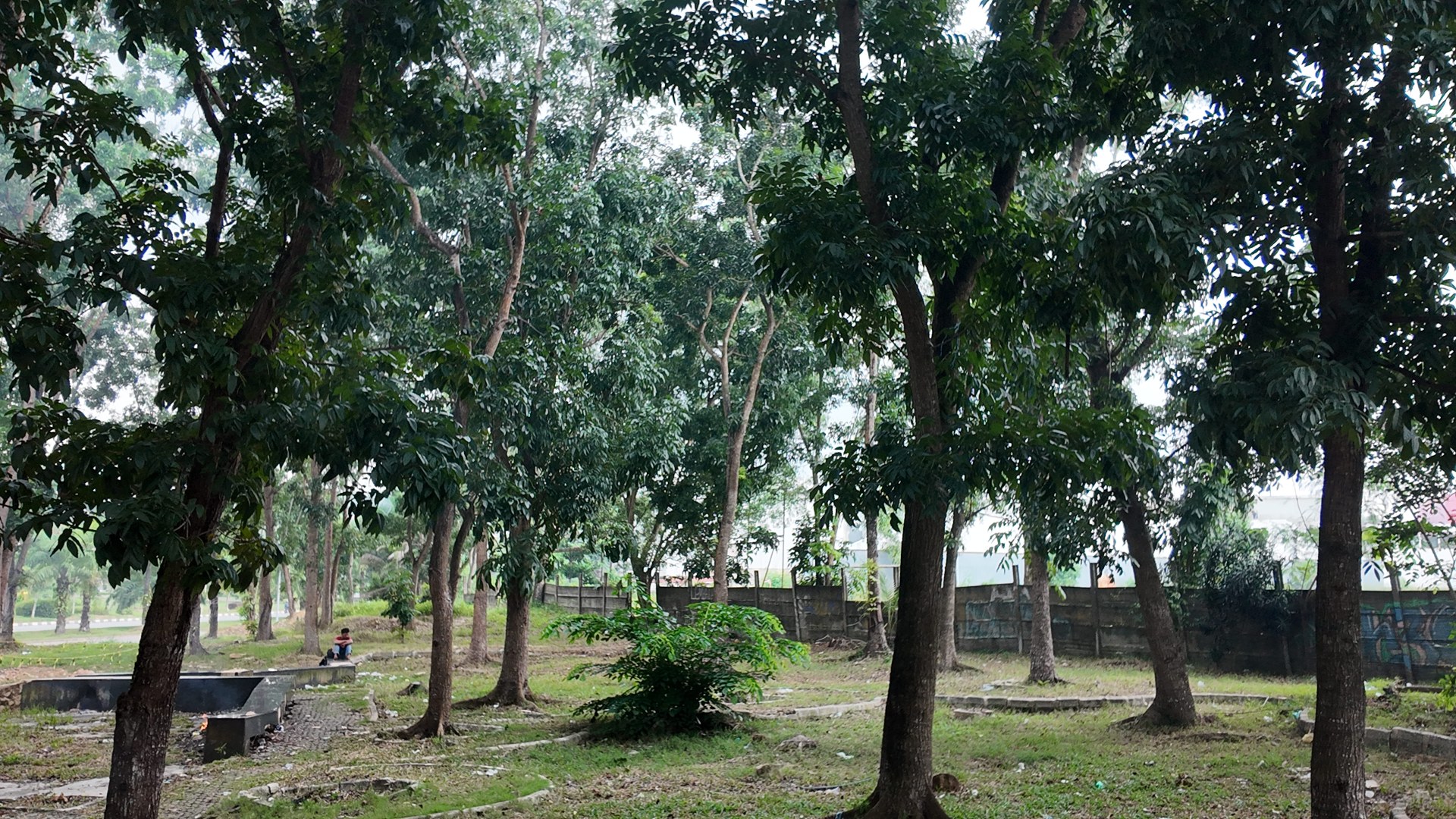 Bufferzone Depan SMP 3 - Taman Jalan Kartini — foto 5