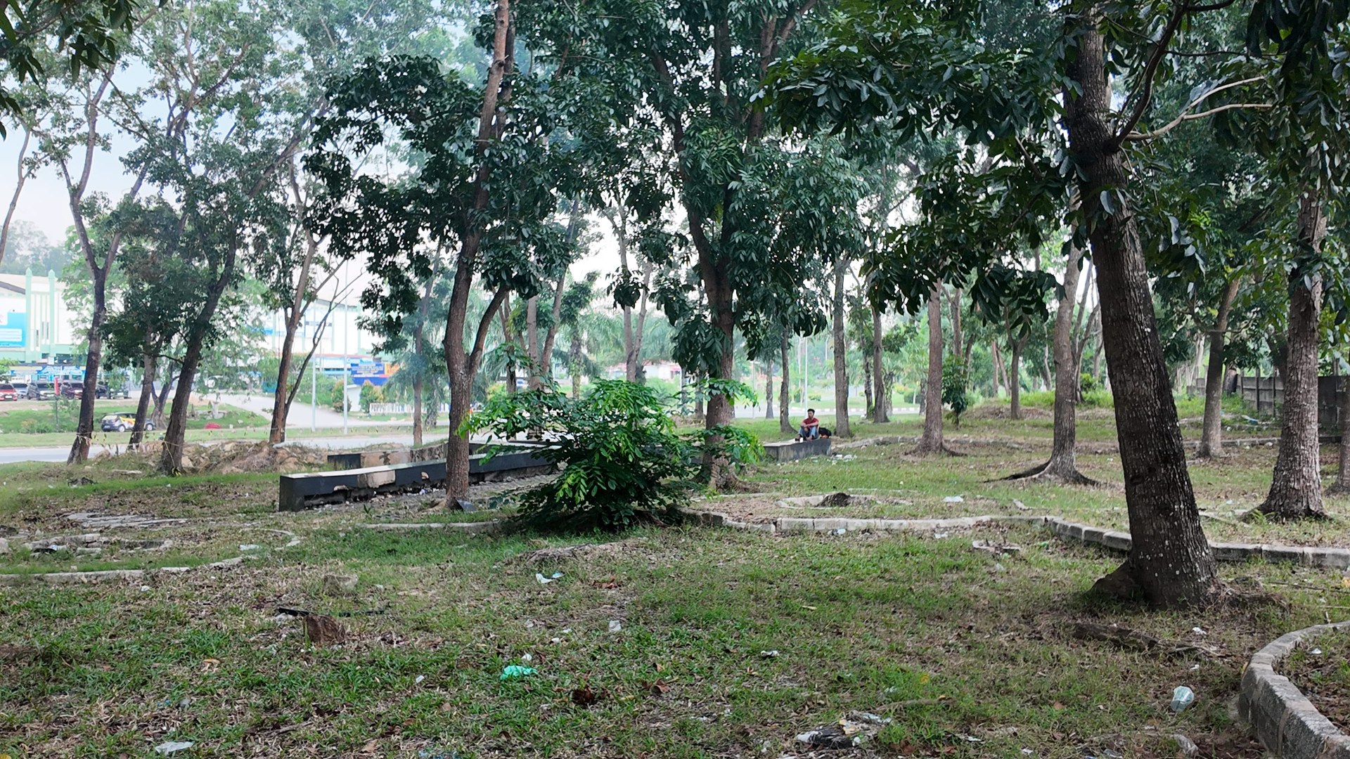 Bufferzone Depan SMP 3 - Taman Jalan Kartini — foto 15