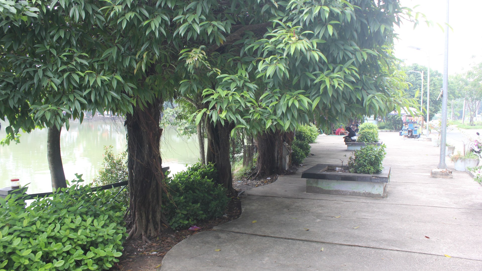 Taman Kolam  Batam Centre — foto 10