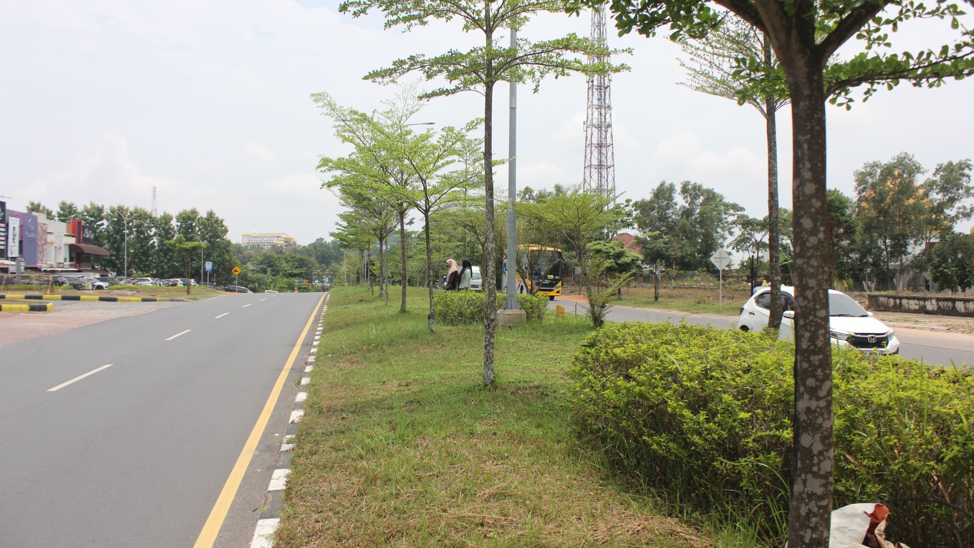 Jl. Selasih  (Simp. RS Elizabeth - Simp. KDA) — foto 9