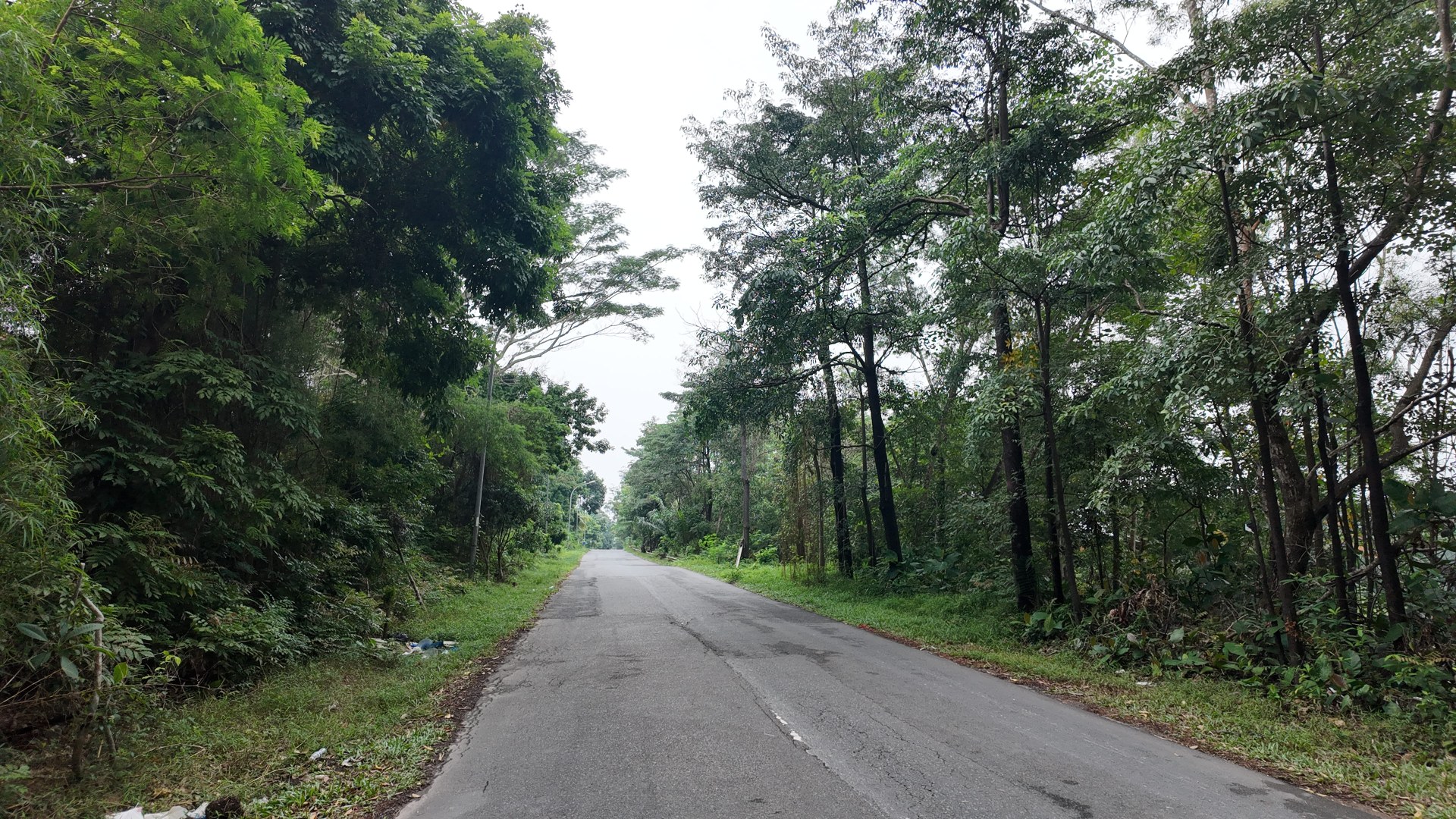Bufferzone Jalur Lambat Utara (Arah Imperium -Angrek Mas) — foto 2