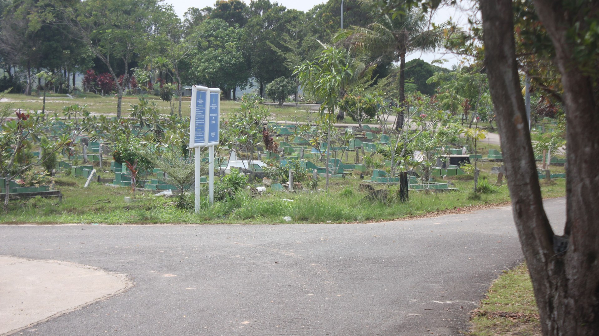 TPU Sei Temiang — foto 19