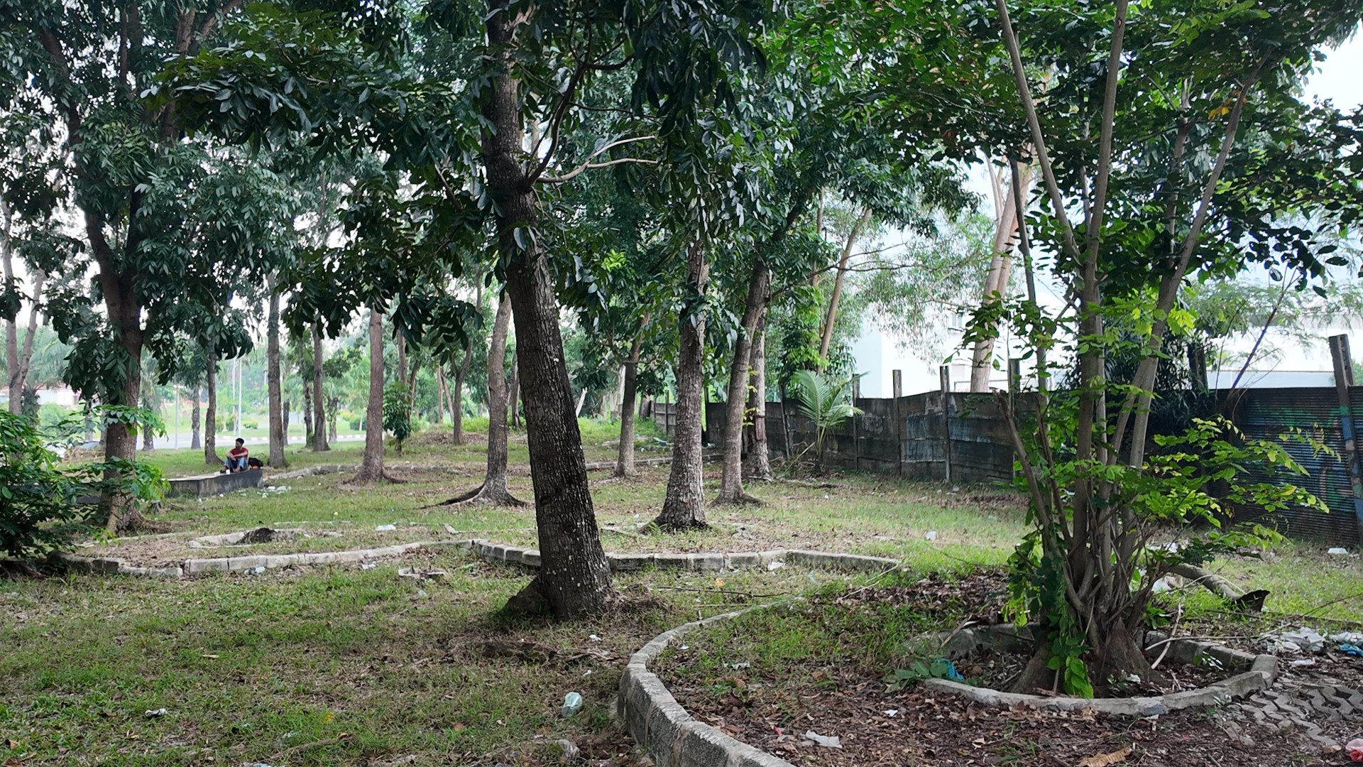 Bufferzone Depan SMP 3 - Taman Jalan Kartini — foto 14