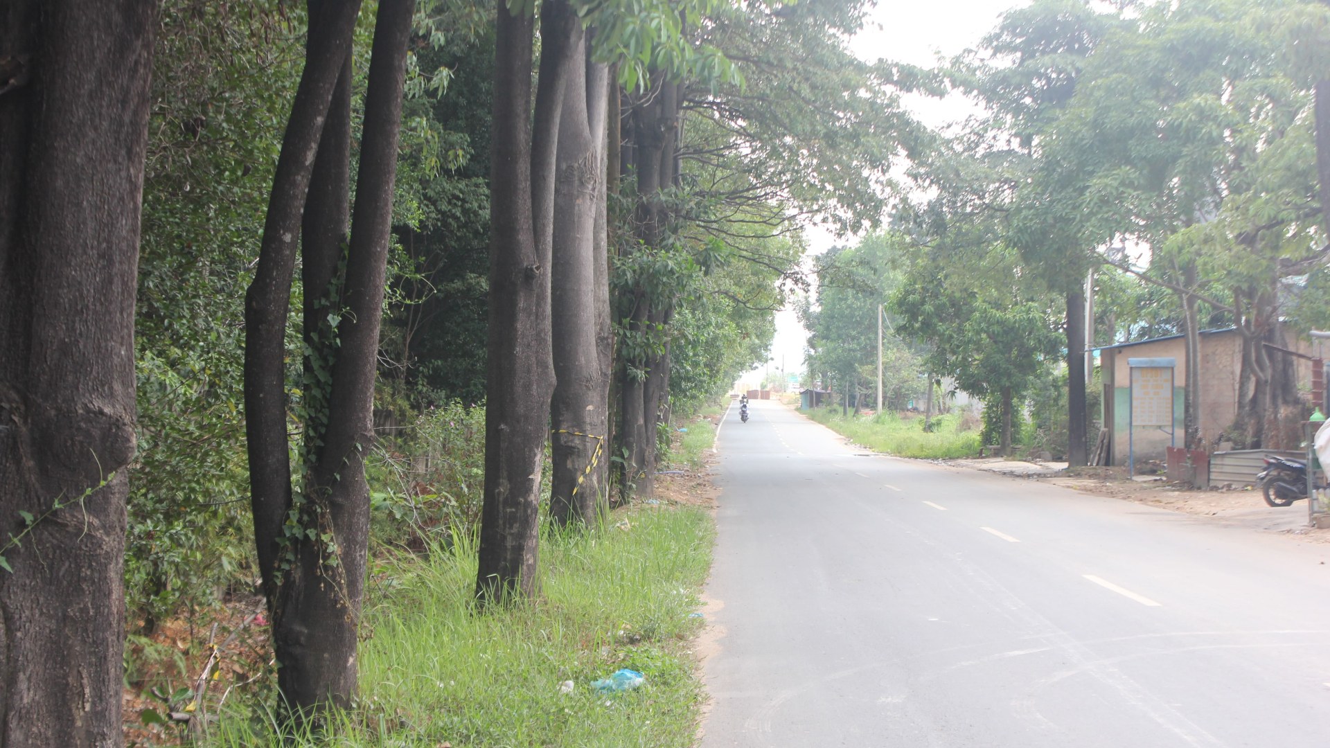 Jl. Bintang — foto 4