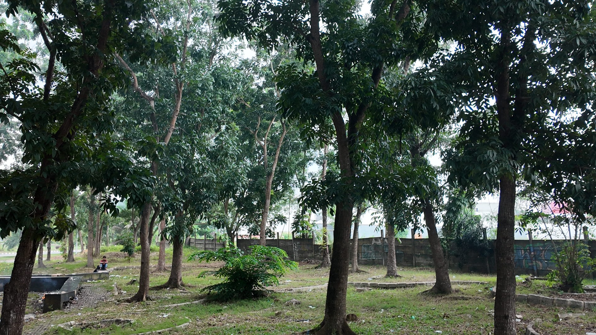 Bufferzone Depan SMP 3 - Taman Jalan Kartini — foto 4