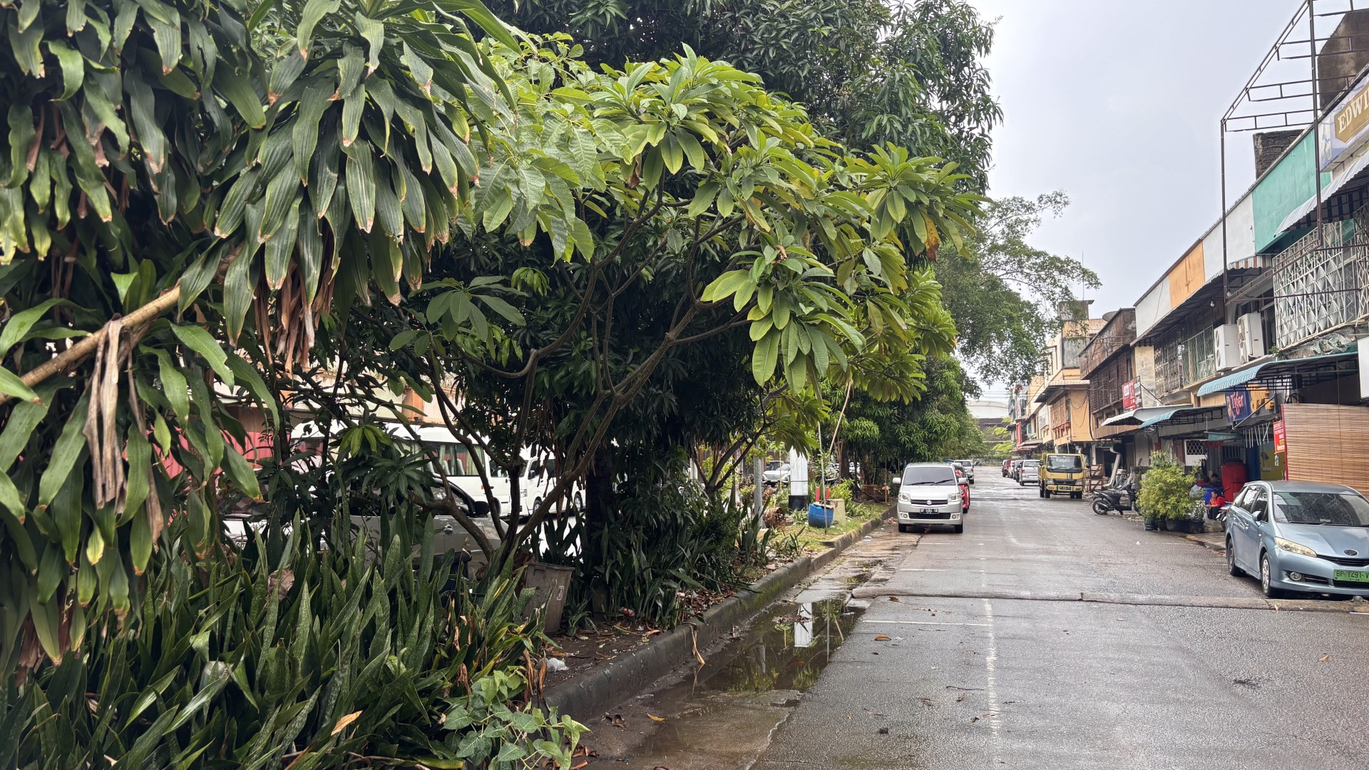 Median Jalan Raja Ali Haji (samping ex Goodway) — foto 5