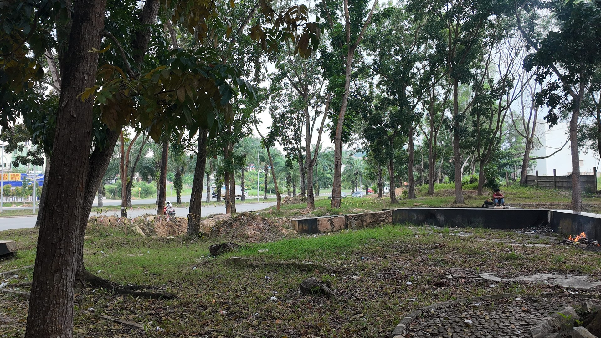 Bufferzone Depan SMP 3 - Taman Jalan Kartini — foto 2