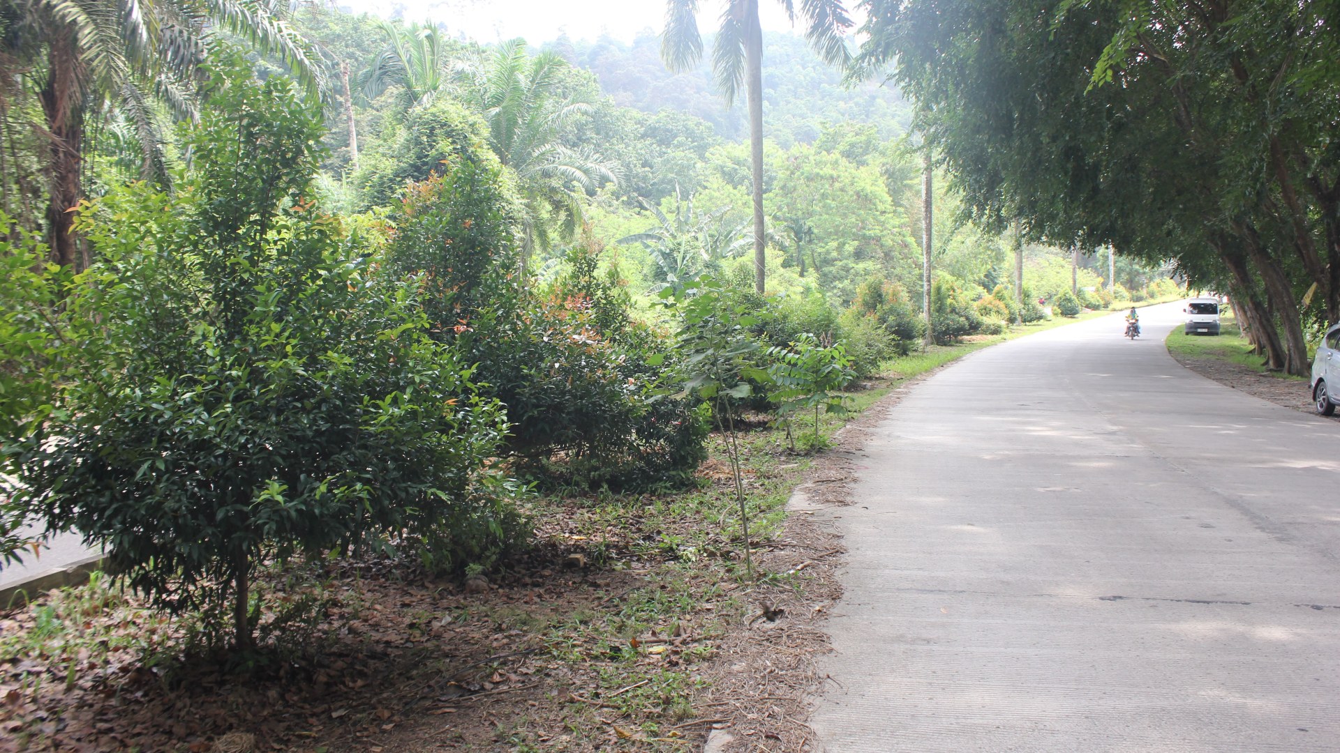 Jl. Raya Marina City (Simp. Marina - Simp. Base Camp)