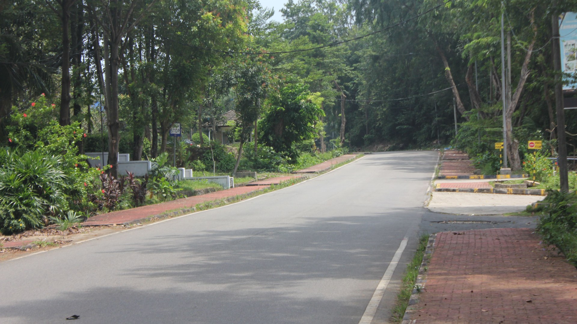 Jl. Dr Cipto Mangun Kusumo (Simp. Taman Rusa - Simp. RSOB) — foto 7