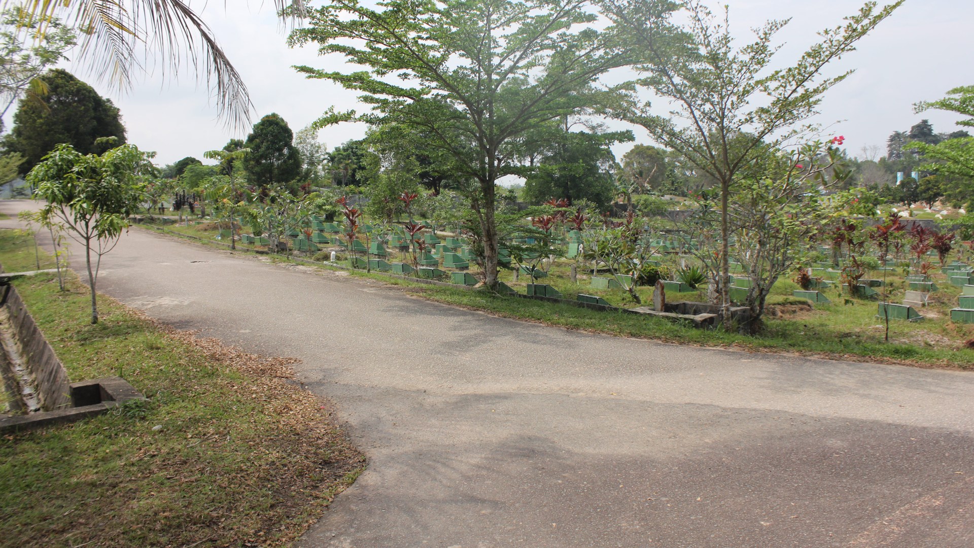 TPU Sei Temiang — foto 17