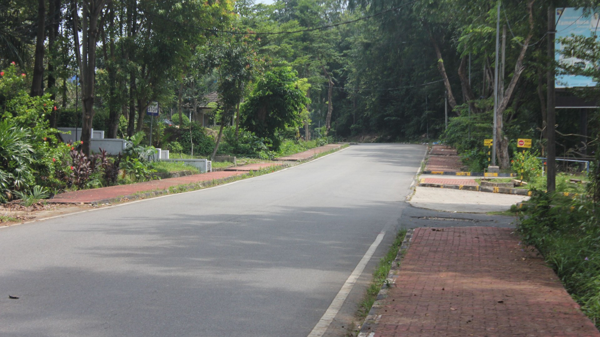 Jl. Dr Cipto Mangun Kusumo (Simp. Taman Rusa - Simp. RSOB) — foto 6