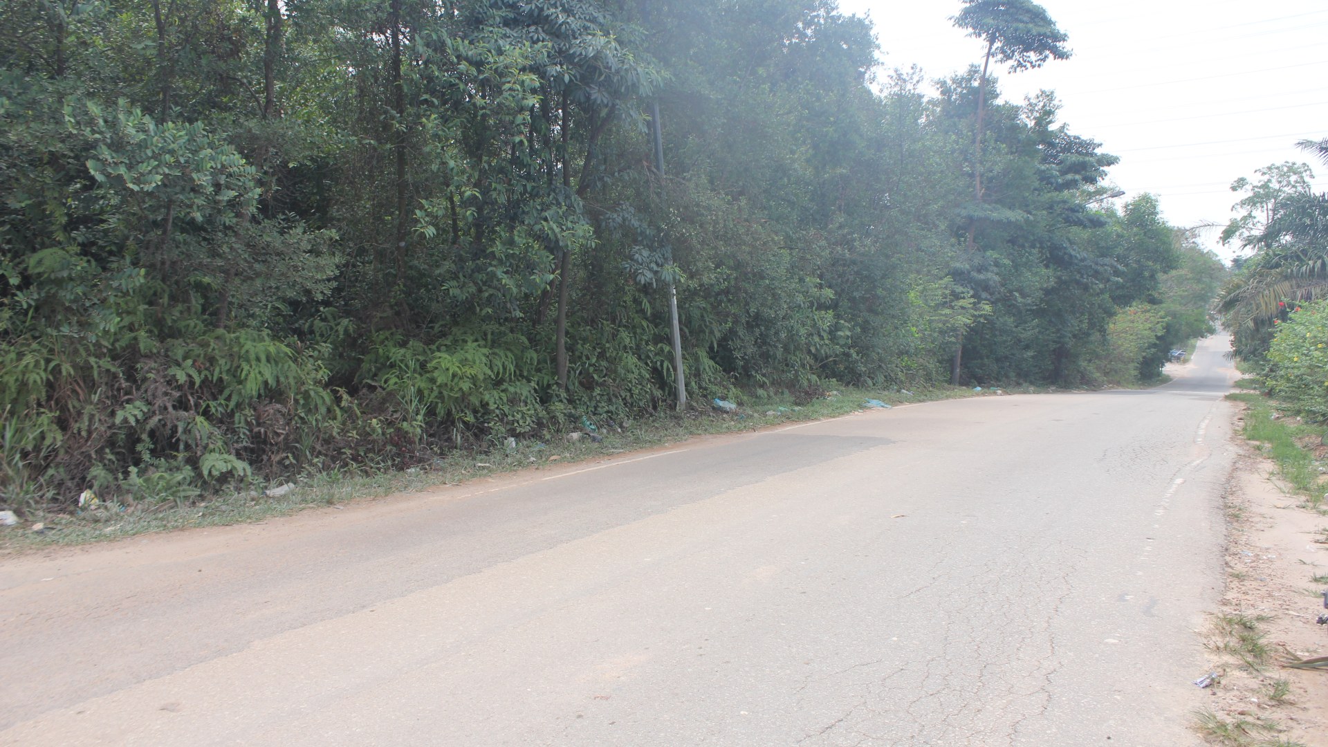 Jl. Kartini (Simp. Marina - Simp. Temiang)