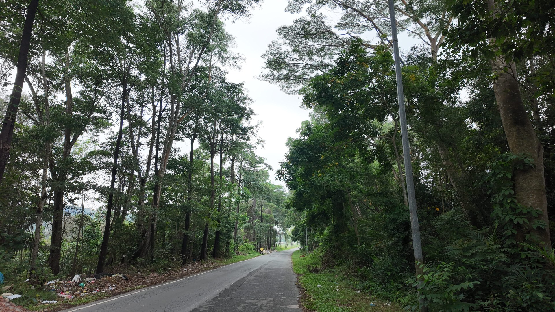 Bufferzone Jalur Lambat Utara (Arah Imperium -Angrek Mas) — foto 1