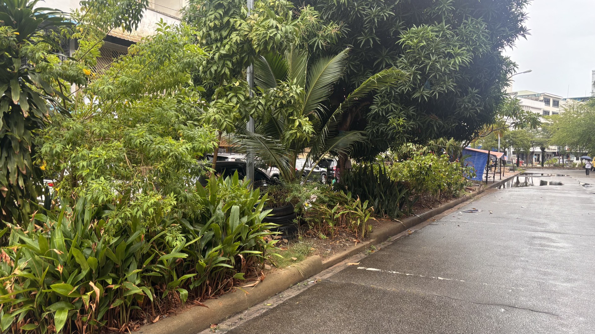 Median Jalan Raja Ali Haji (samping ex Goodway) — foto 4